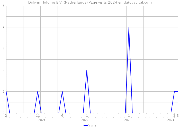 Delynn Holding B.V. (Netherlands) Page visits 2024 