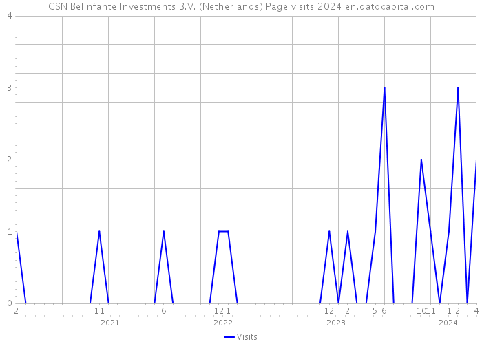 GSN Belinfante Investments B.V. (Netherlands) Page visits 2024 