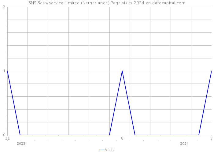 BNS Bouwservice Limited (Netherlands) Page visits 2024 