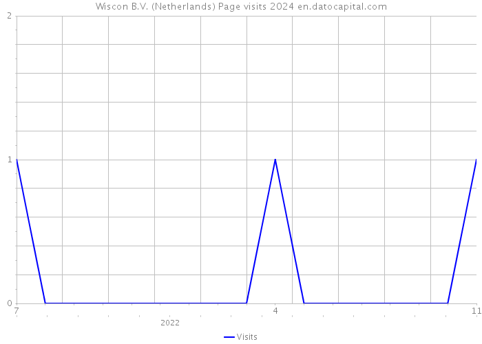 Wiscon B.V. (Netherlands) Page visits 2024 