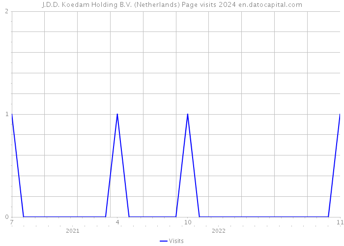 J.D.D. Koedam Holding B.V. (Netherlands) Page visits 2024 