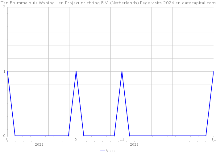 Ten Brummelhuis Woning- en Projectinrichting B.V. (Netherlands) Page visits 2024 