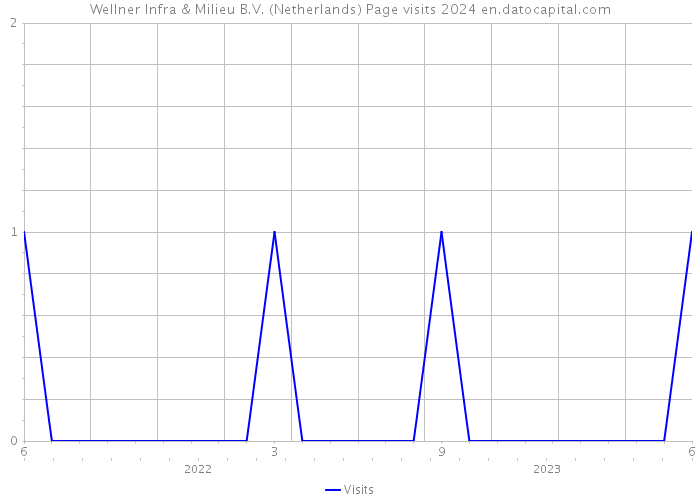 Wellner Infra & Milieu B.V. (Netherlands) Page visits 2024 