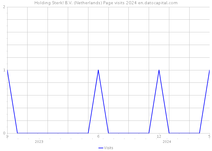 Holding Sterk! B.V. (Netherlands) Page visits 2024 