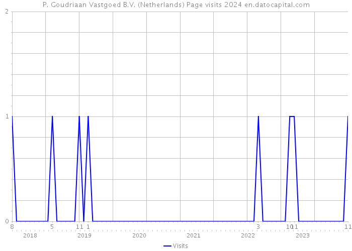 P. Goudriaan Vastgoed B.V. (Netherlands) Page visits 2024 