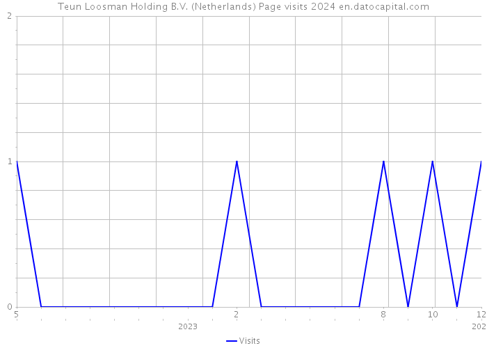 Teun Loosman Holding B.V. (Netherlands) Page visits 2024 