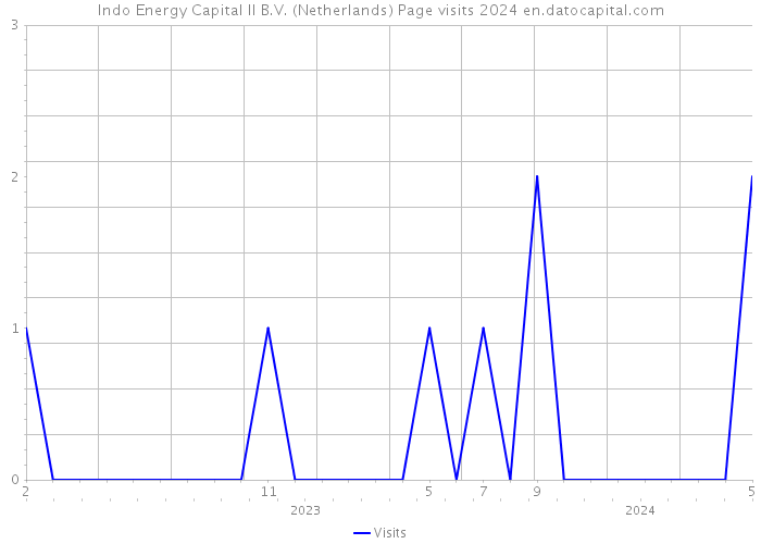 Indo Energy Capital II B.V. (Netherlands) Page visits 2024 