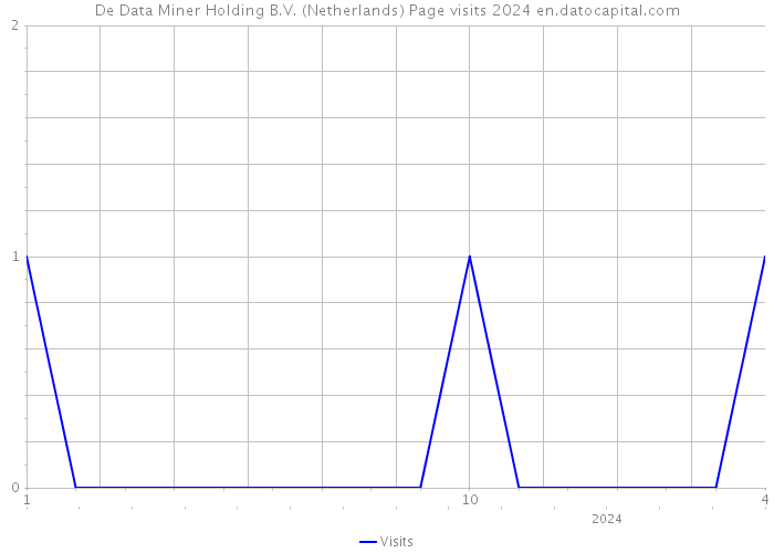 De Data Miner Holding B.V. (Netherlands) Page visits 2024 