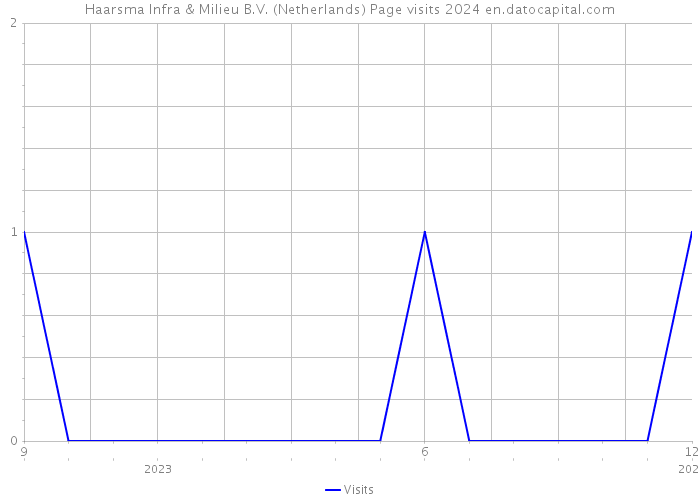 Haarsma Infra & Milieu B.V. (Netherlands) Page visits 2024 