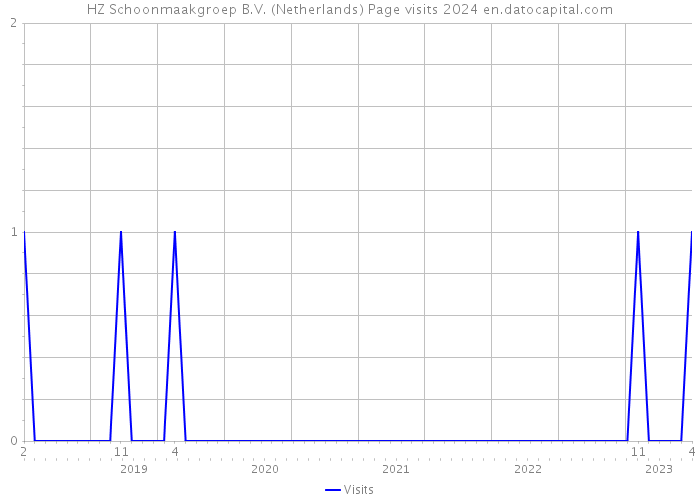 HZ Schoonmaakgroep B.V. (Netherlands) Page visits 2024 