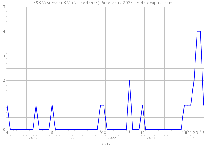 B&S Vastinvest B.V. (Netherlands) Page visits 2024 