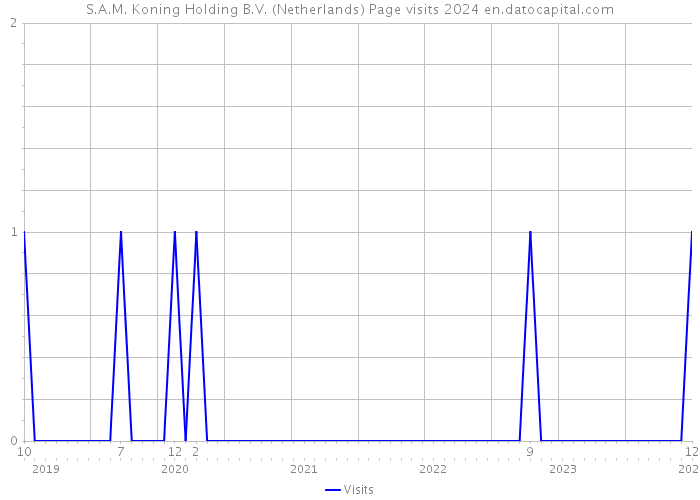 S.A.M. Koning Holding B.V. (Netherlands) Page visits 2024 