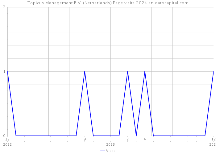 Topicus Management B.V. (Netherlands) Page visits 2024 