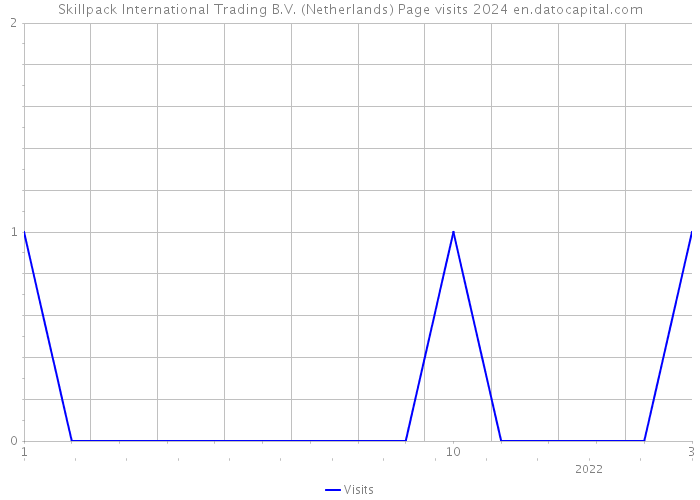Skillpack International Trading B.V. (Netherlands) Page visits 2024 