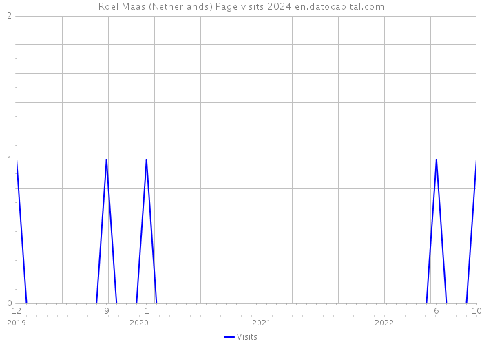 Roel Maas (Netherlands) Page visits 2024 