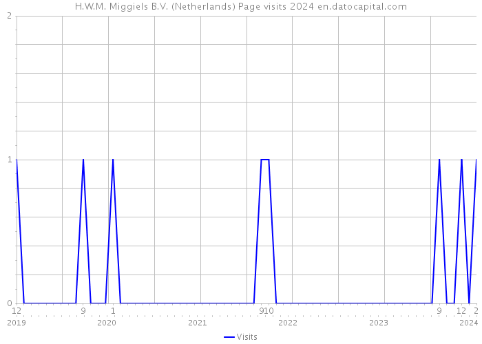 H.W.M. Miggiels B.V. (Netherlands) Page visits 2024 