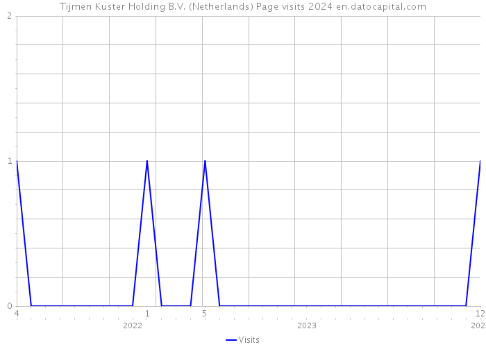 Tijmen Kuster Holding B.V. (Netherlands) Page visits 2024 
