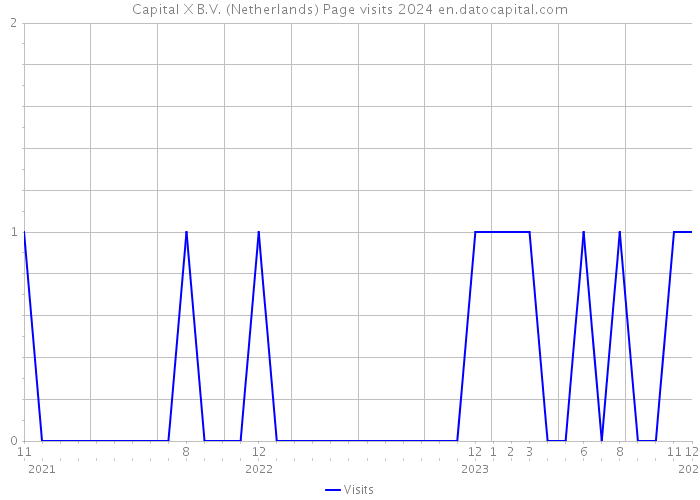 Capital X B.V. (Netherlands) Page visits 2024 