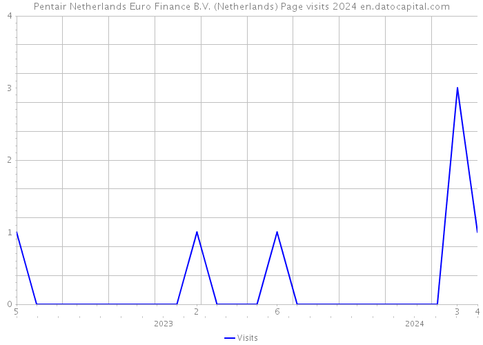 Pentair Netherlands Euro Finance B.V. (Netherlands) Page visits 2024 
