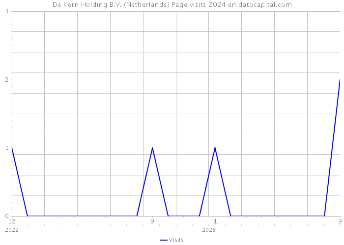 De Kern Holding B.V. (Netherlands) Page visits 2024 