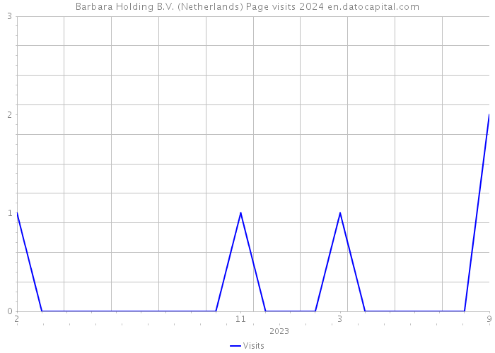 Barbara Holding B.V. (Netherlands) Page visits 2024 