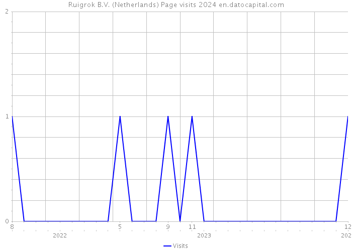 Ruigrok B.V. (Netherlands) Page visits 2024 