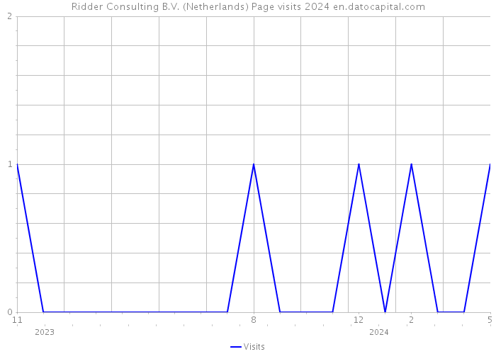 Ridder Consulting B.V. (Netherlands) Page visits 2024 