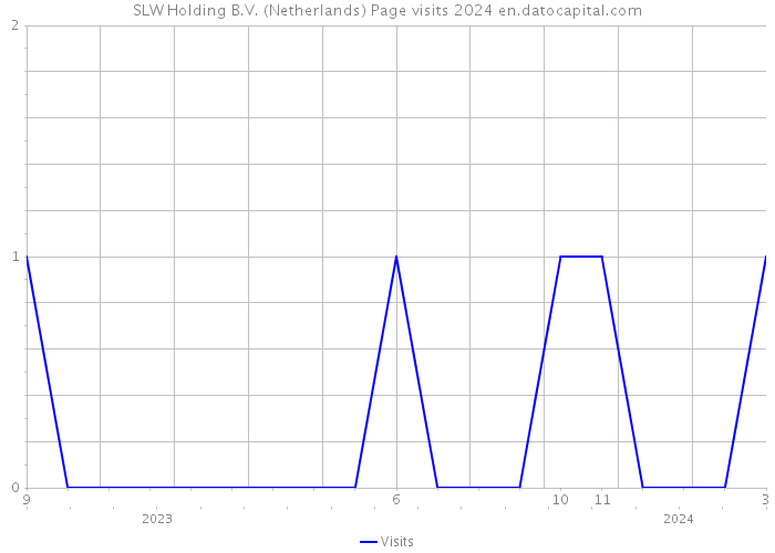SLW Holding B.V. (Netherlands) Page visits 2024 