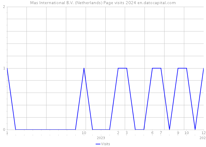 Mas International B.V. (Netherlands) Page visits 2024 