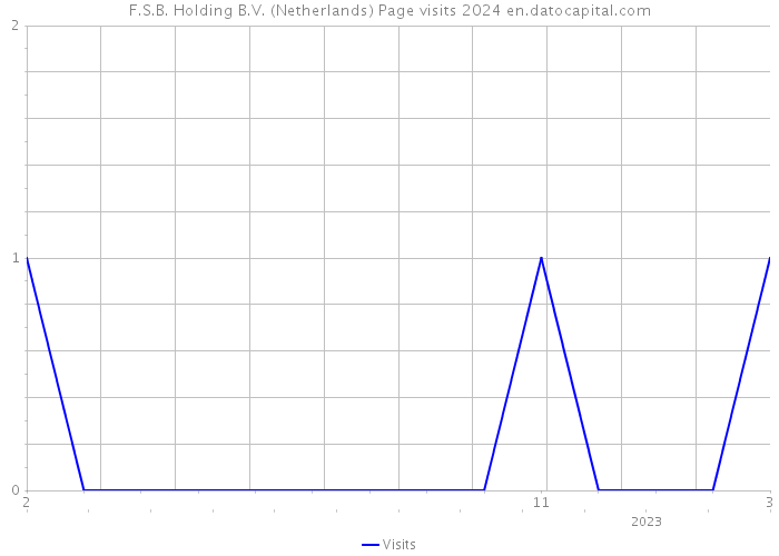 F.S.B. Holding B.V. (Netherlands) Page visits 2024 