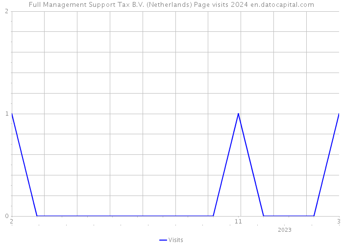 Full Management Support Tax B.V. (Netherlands) Page visits 2024 