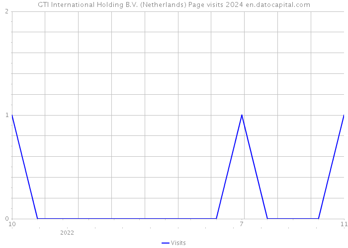 GTI International Holding B.V. (Netherlands) Page visits 2024 