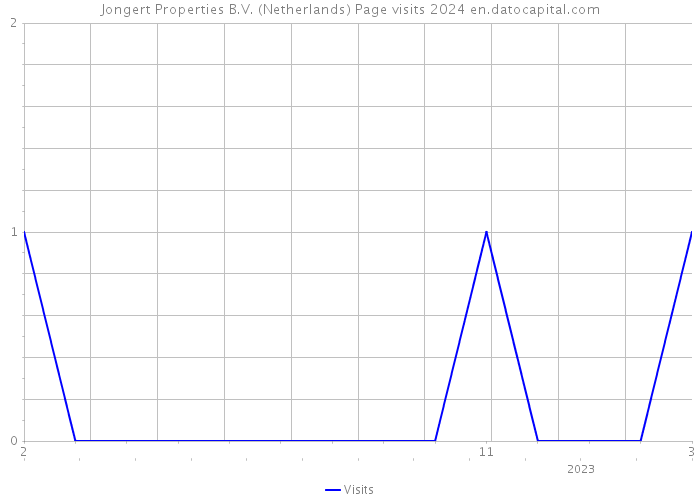 Jongert Properties B.V. (Netherlands) Page visits 2024 