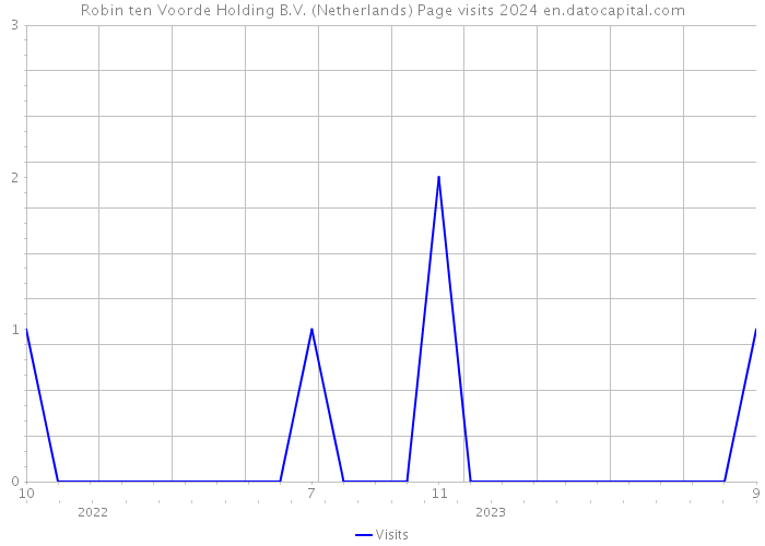Robin ten Voorde Holding B.V. (Netherlands) Page visits 2024 