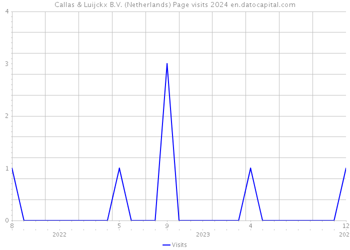 Callas & Luijckx B.V. (Netherlands) Page visits 2024 