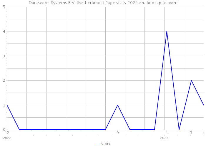 Datascope Systems B.V. (Netherlands) Page visits 2024 