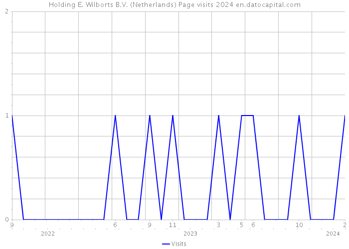 Holding E. Wilborts B.V. (Netherlands) Page visits 2024 