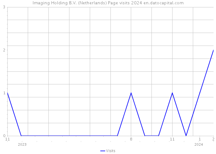 Imaging Holding B.V. (Netherlands) Page visits 2024 