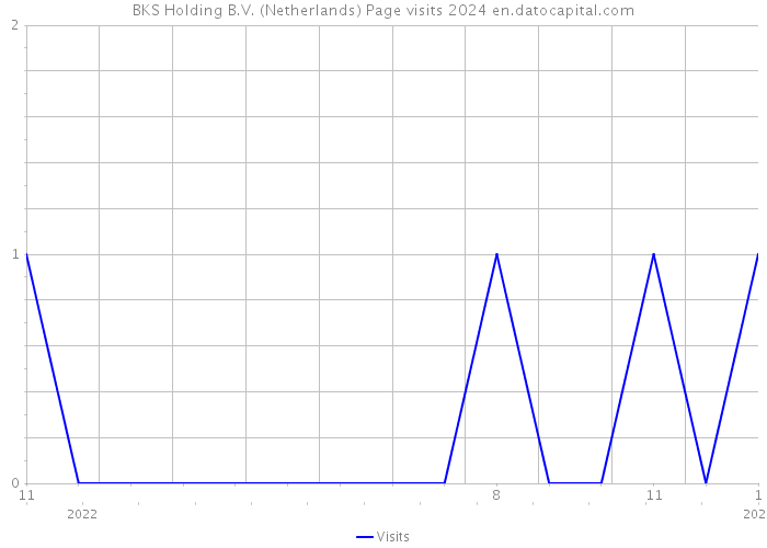 BKS Holding B.V. (Netherlands) Page visits 2024 