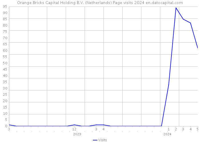 Orange Bricks Capital Holding B.V. (Netherlands) Page visits 2024 