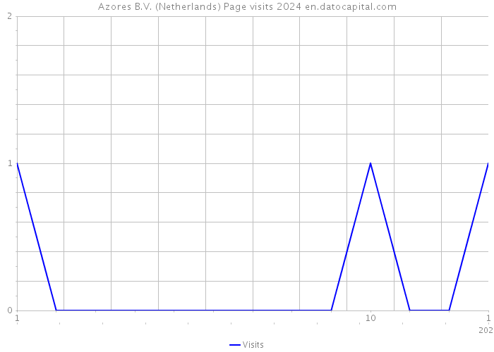 Azores B.V. (Netherlands) Page visits 2024 
