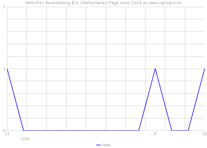HelloFlex Bemiddeling B.V. (Netherlands) Page visits 2024 