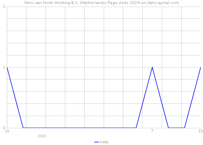 Nino van Honk Holding B.V. (Netherlands) Page visits 2024 