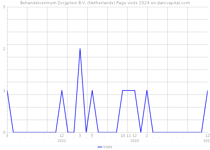 Behandelcentrum Zorgplein B.V. (Netherlands) Page visits 2024 