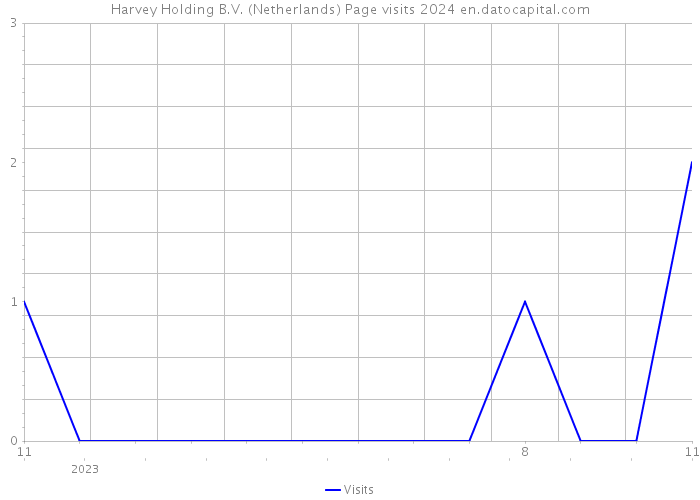Harvey Holding B.V. (Netherlands) Page visits 2024 