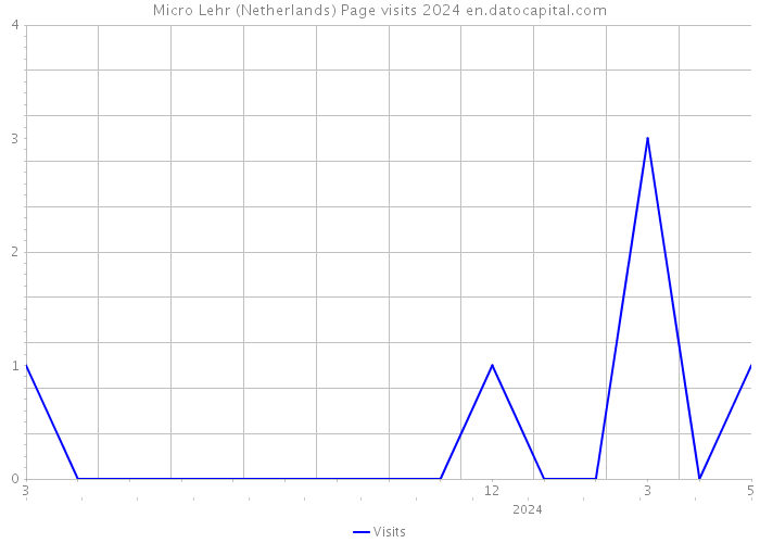 Micro Lehr (Netherlands) Page visits 2024 
