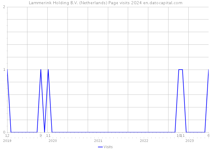 Lammerink Holding B.V. (Netherlands) Page visits 2024 