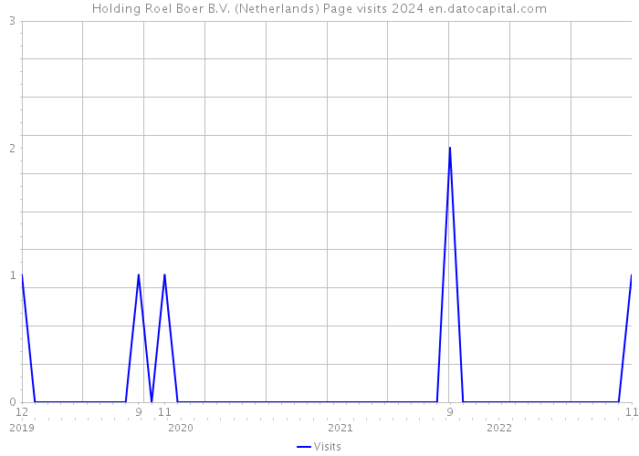 Holding Roel Boer B.V. (Netherlands) Page visits 2024 