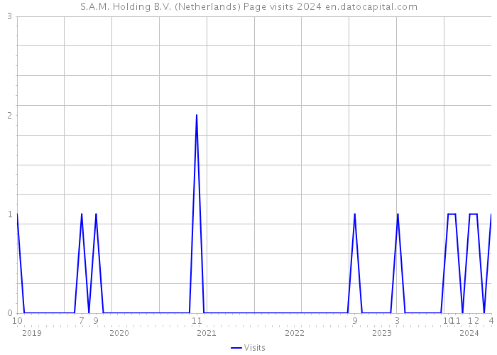 S.A.M. Holding B.V. (Netherlands) Page visits 2024 