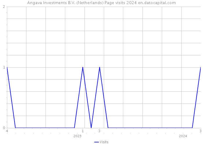 Angava Investments B.V. (Netherlands) Page visits 2024 